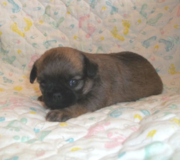 click here to see me grow