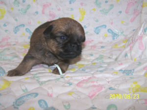 click here to see me grow